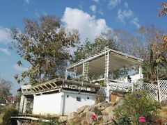 -黄色小屋