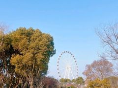 -自然谷恐龙园