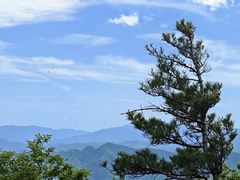 -牛背梁国家森林公园