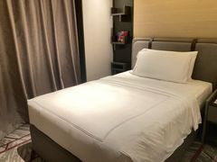 -新加坡瑞士史丹福酒店