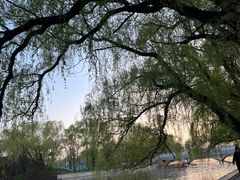 -北陵公园