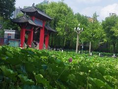 -四川大学(望江校区)