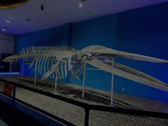 -福州罗源湾海洋世界旅游区