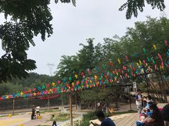 -欢乐松鼠谷