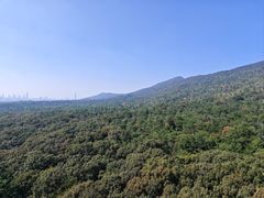 -灵谷景区