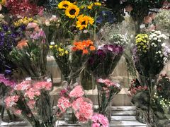 -AEON永旺(东方宝泰店)