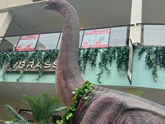 -宁波杉井奥特莱斯广场