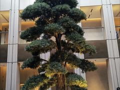 -外滩·云南人家(昆明旗舰店)