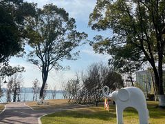 -金鸡湖桃花岛