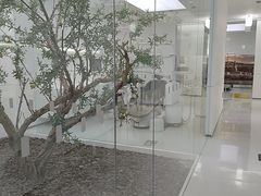 -极简口腔(总院)