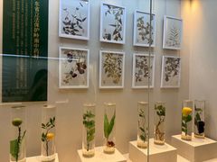 -广东中医药博物馆
