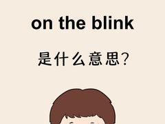 -JT PREP国际学科课程·IB·AP·Alevel(陆家嘴校区)