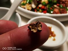 -初蓉丨遇见新川菜(亲贤街荣耀店)