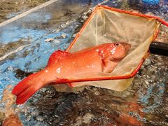 -东海怡品海鲜豆捞(星街坊店)