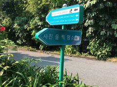 -南沙蒲洲花园