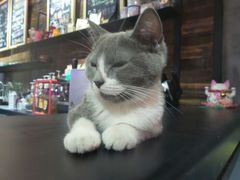 android_upload_pic-MIKAKU(万达广场上海宝山店)