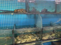 -兆辉木炭海鲜烧烤·海鲜小炒