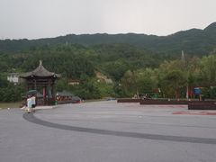 -后柳水乡