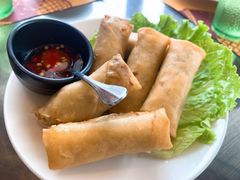 泰式鸡肉春卷-simply thai天泰(世纪汇店)