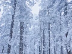 -瓦屋山景区