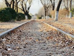 -永定河休闲森林公园