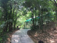 -柳州市动物园