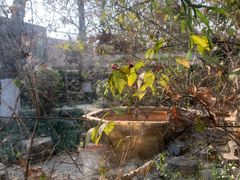 -春晖园度假酒店温泉