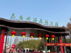 -黄海国家森林公园