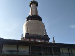 -张掖大佛寺景区