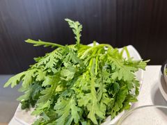 蒿子杆-蝎王府羊蝎子(北大地店)