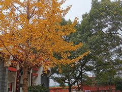 -南岳大庙