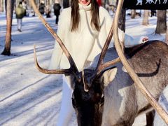 -北极村旅游风景区