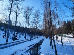 -白水寺森林公园