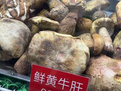 -太婆天府山珍酒楼(亚运村店)