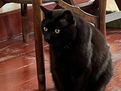 -春风十里咖啡馆