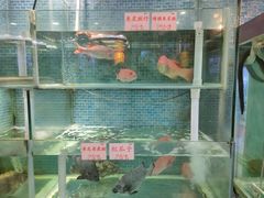 -东国海鲜火锅城(氹仔店)
