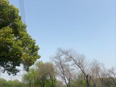 -九里河湿地公园