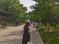 -长白岛森林公园