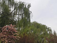 -城市运动公园(未央区)