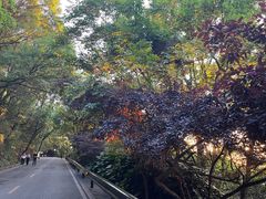 -岳麓山风景名胜区