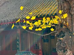 -红螺寺