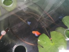 -春会馆(茂名北路店)