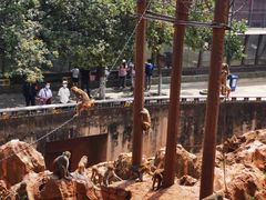 -昆明动物园