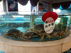 -香融府·烤鸭·家常菜(马家堡路店)