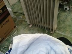 -伟伟宠物医院·CT影像中心·瑞派犬猫综合性门诊(汉口总院)