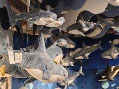 -宜家家居(四元桥商场店)