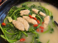 -点都德·毕德寮