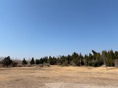 -盐城丹顶鹤湿地生态旅游区