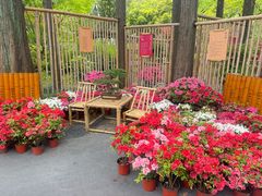 -上海醉白池公园