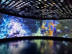 -同济大学四平路校区深海探索馆